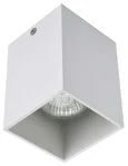 Потолочный накладной светильник белый AM Group AM01-110 WH