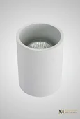 Потолочный светильник цилиндр белый AM Group AM02-110 WH