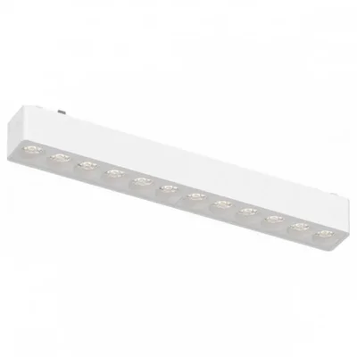Светильник трековый Aployt APL.0100.11.12