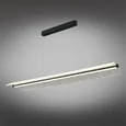 Люстра подвесная Aployt APL.077.03.55