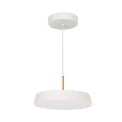 Светильник SP-ELEGANT-R300-17W Day4000 (WH, 120 deg, 230V) (Arlight, IP20 Металл, 3 года), 033919