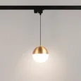 Светильник LGD-EMISFERO-TRACK-HANG-2TR-R150-11W Day4000 (GD, 170 deg, 230V) (Arlight, IP20 Металл, 3 года)