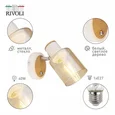 Светильник настенно-потолочный спот Rivoli Jamilly 7057-701 1 х Е27 40 Вт поворотный с выключателем