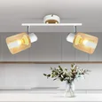 Светильник настенно-потолочный спот Rivoli Jamilly 7057-702 2 х Е27 40 Вт поворотный