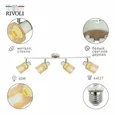 Светильник настенно-потолочный спот Rivoli Jamilly 7057-704 4 х Е27 40 Вт поворотный