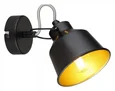 Светильник настенно-потолочный спот Rivoli Evelyn 7064-701 1 х Е14 40 Вт поворотный