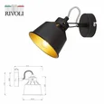 Светильник настенно-потолочный спот Rivoli Evelyn 7064-701 1 х Е14 40 Вт поворотный