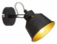 Светильник настенно-потолочный спот Rivoli Evelyn 7064-701 1 х Е14 40 Вт поворотный