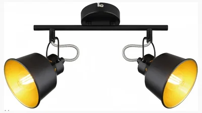 Светильник настенно-потолочный спот Rivoli Evelyn 7064-702 2 х Е14 40 Вт поворотный