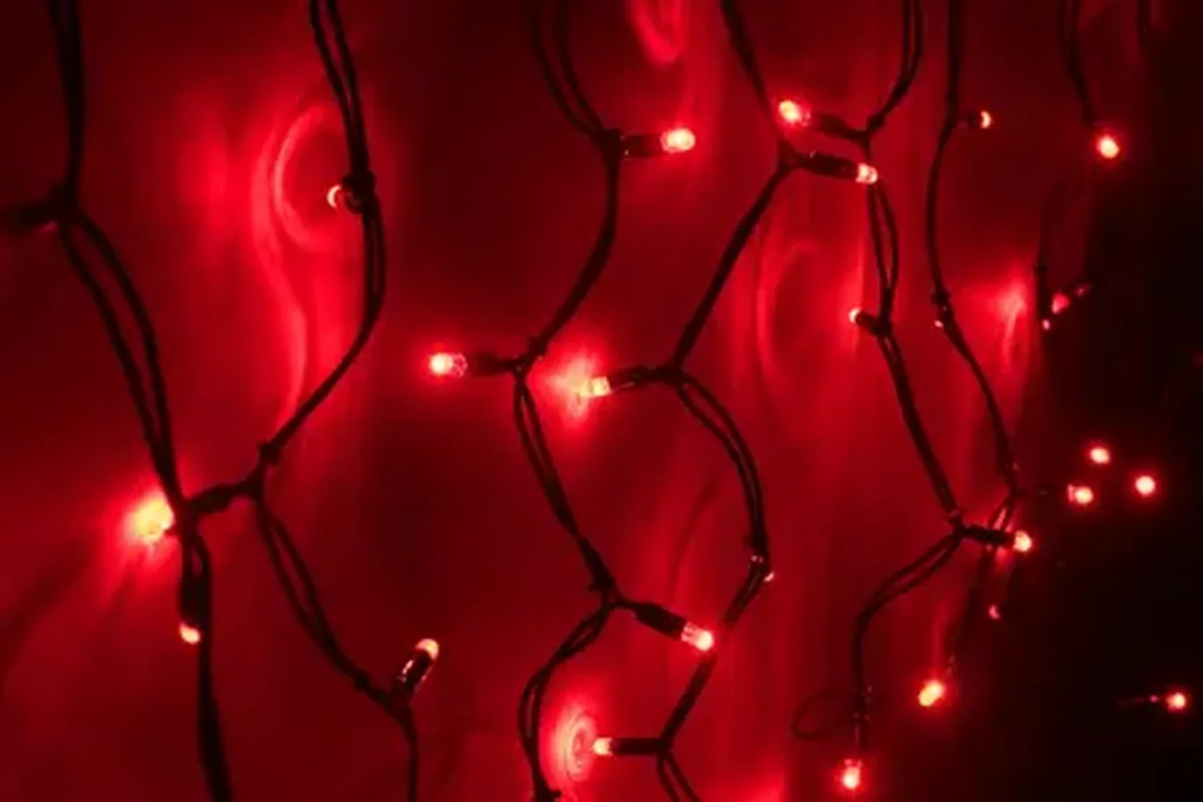 LED-RPLR-160-4.8M-240V-R/BL-F Flash на черном проводе