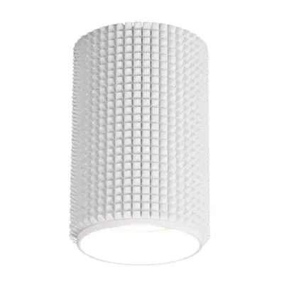 Потолочный светильник Elektrostandard Spike DLN112 GU10 белый 4690389149580