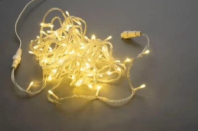 LED-PLS-200-20M-240V-WW/C-W/O белая теплая/прозранчый провод, соединяемая (без силового шнура)