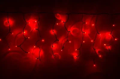 LED-RPLR-160-4.8M-240V-R/BL W/O (без силового шнура)