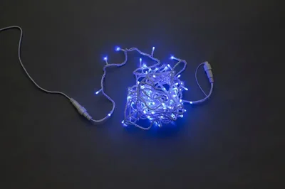 LED-PLS-100-10M-240V-B/W-W/O, синяя / белый провод, соединяемая (без силового шнура)