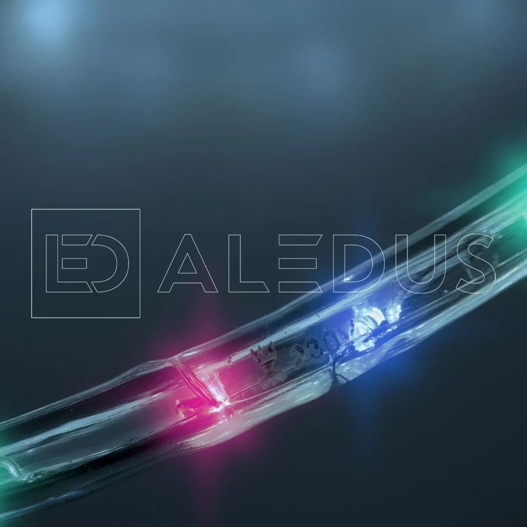 Дюралайт ALEDUS, 220 В, 13 мм, бухта 100 м, RGB