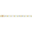 Лента RT 6-5000 24V White-MIX 2x (5060, 60 LED/m, LUX) (Arlight, Изменяемая ЦТ)