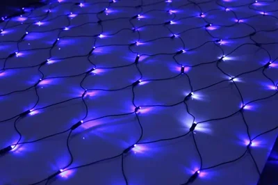 LED-SNL-288-2*1,5M-240V-B/BL-F(CW) СИНИЙ/БЕЛЫЙ ФЛЭШ на чернoм проводе, соединяемая