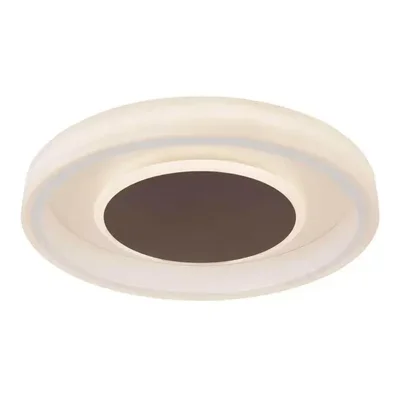 Потолочный светодиодный светильник Globo Goffi 48398-40