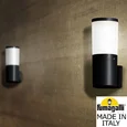Светильник уличный настенный FUMAGALLI AMELIA WALL DR2.570.000.AYE27