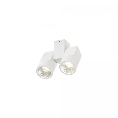 Потолочный светодиодный светильник Citilux Дубль CL556100