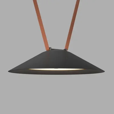 Трековый светильник BELTY FLOW DK5565-BK