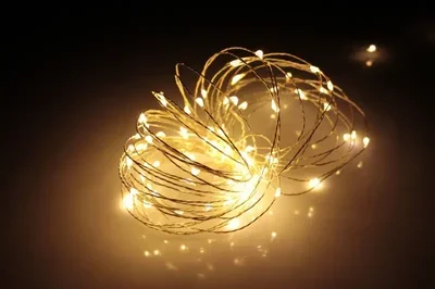 LED-DD-100-10M-12V-WW, LED Роса 10м, тёплый белый