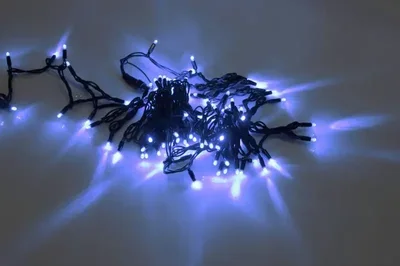 LED-PLR-100-10M-24V-B/BL-W/O, синяя/черный провод, соединяемая (без силового шнура) 24В