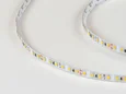 Светодиодная лента 2835, 120 LED/м, 9,6 Вт/м, 24В , IP20, 3M, Цвет: Теплый белый, SWG2120-24-9.6-WW-M