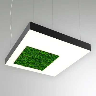 RVE-LBX-MOSS-CUBO-S-650 Квадрат со смещённым отверстием со мхом 650x650x100мм