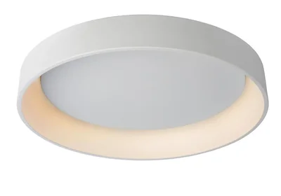 Потолочный светодиодный светильник Lucide Talowe 46100/80/31