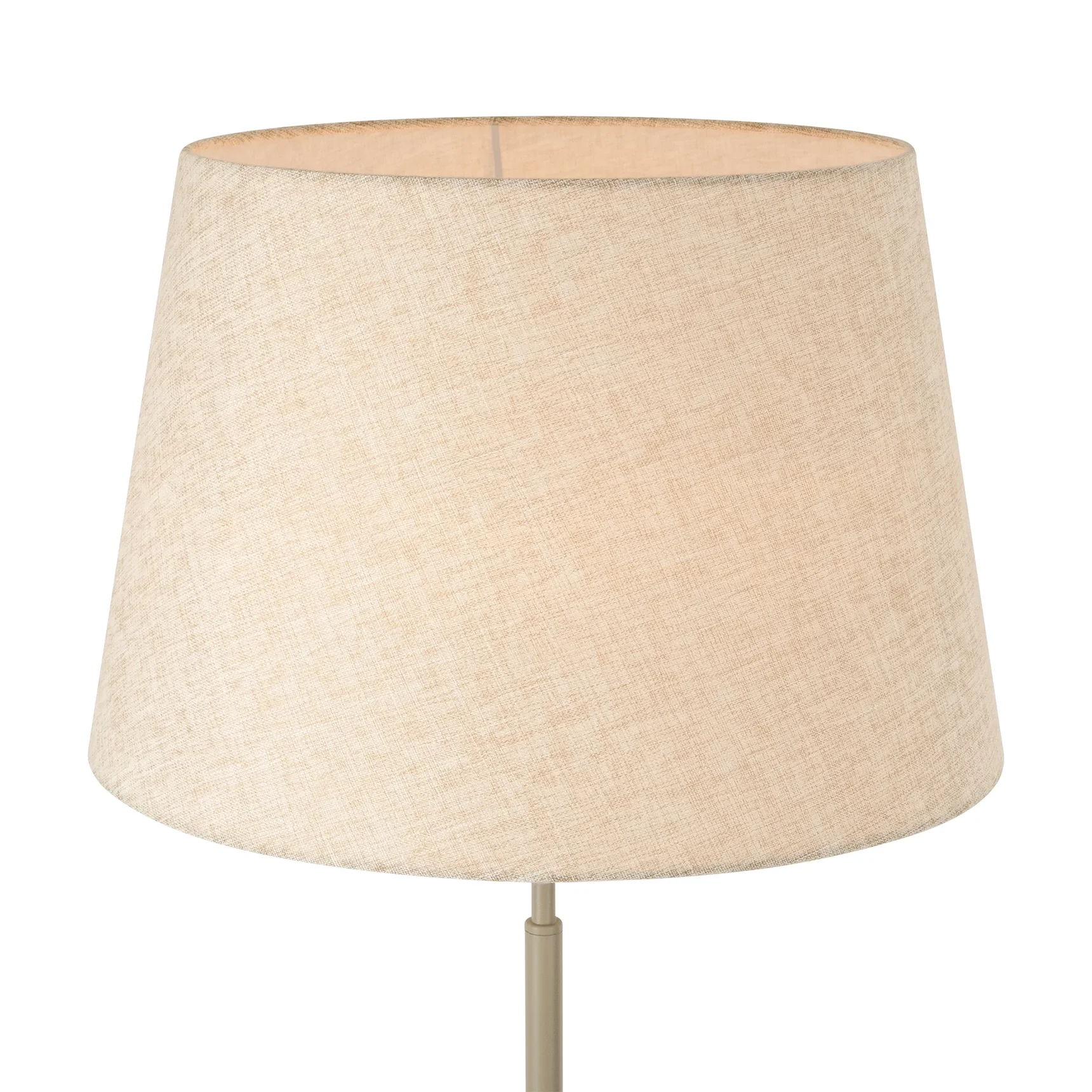 Напольный светильник (торшер) Butler, FR2057FL-01BG