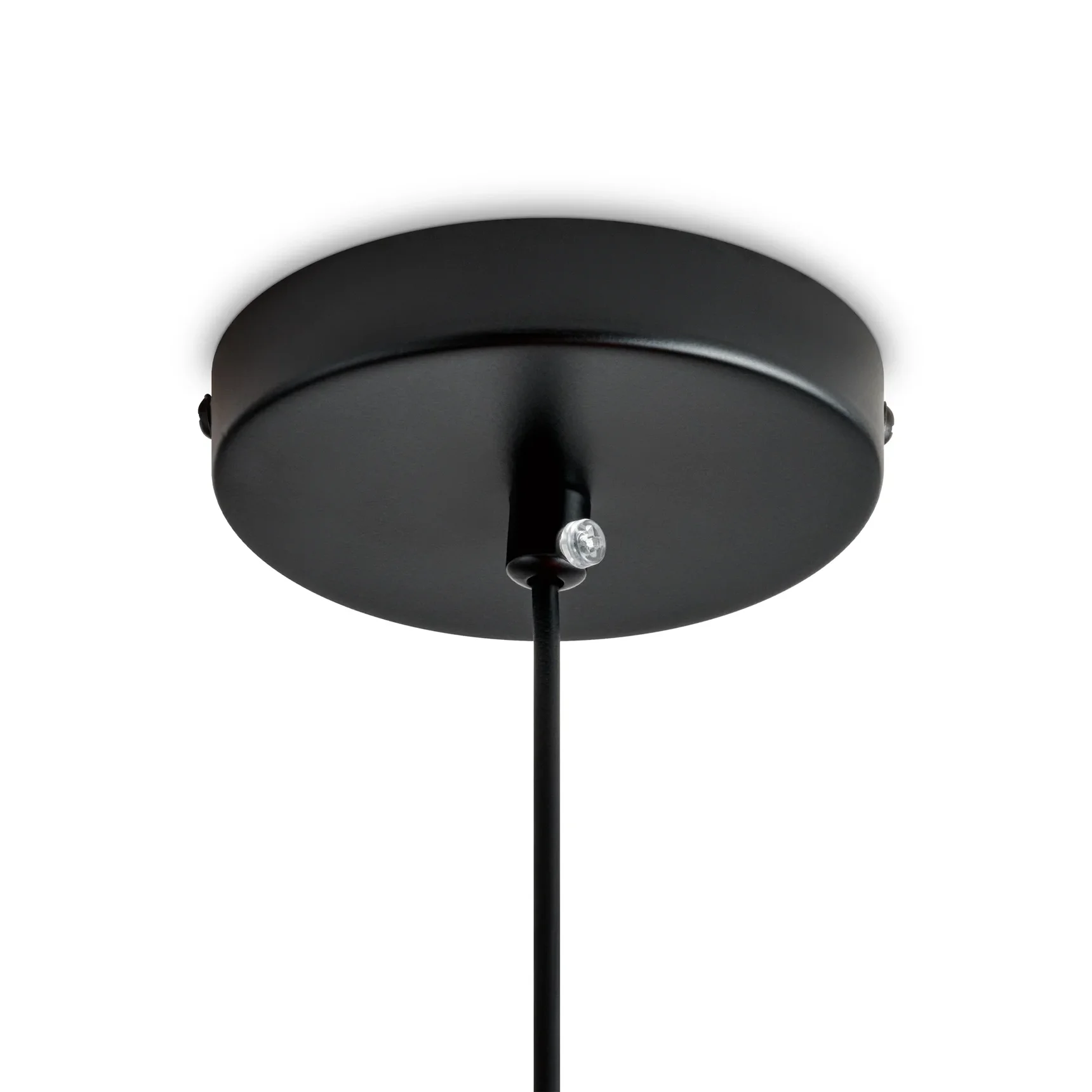 Одинарный подвесной светильник Lotus, FR5551PL-01WG