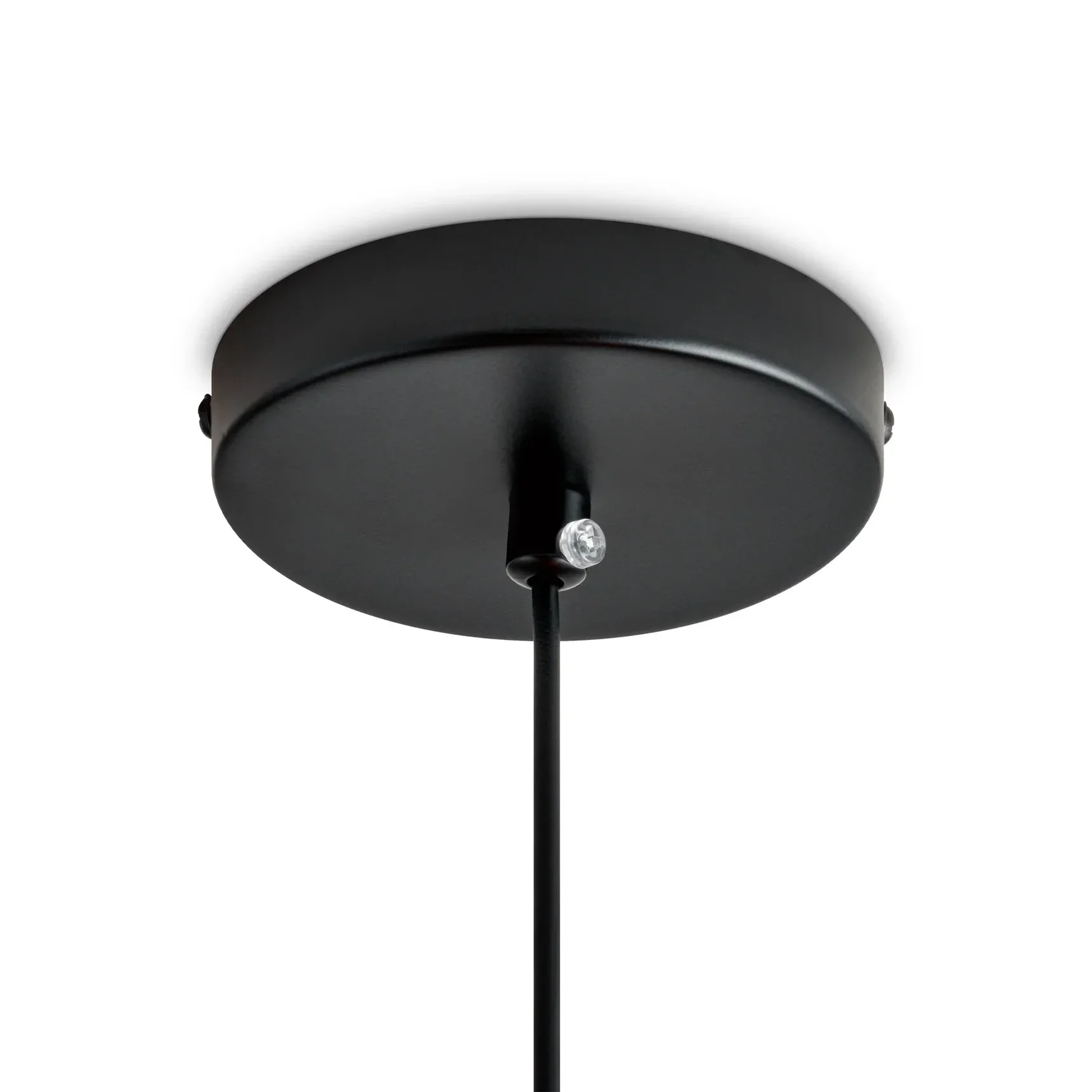 Одинарный подвесной светильник Lotus, FR5551PL-01WR