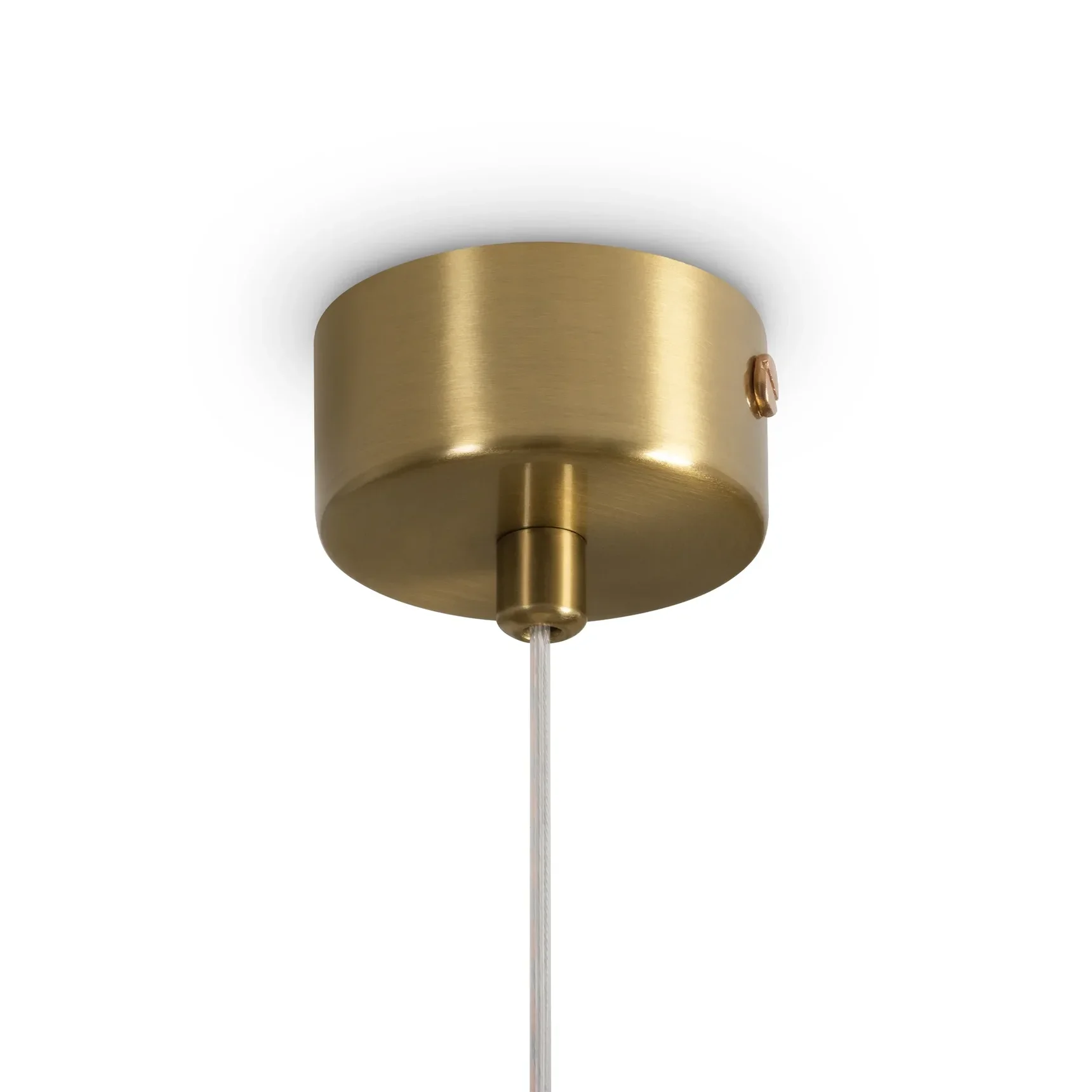 Подвесной светильник Pareo, FR5590PL-01BS