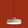 Одинарный подвесной светильник Still, FR5598PL-02CR