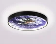 Светильник светодиодный настенно-потолочный FW11131 BK черный 15W LED 3000-6400K D240*38