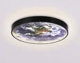 Светильник светодиодный настенно-потолочный FW11131 BK черный 15W LED 3000-6400K D240*38