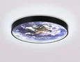 Светильник светодиодный настенно-потолочный FW11131 BK черный 15W LED 3000-6400K D240*38