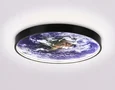 Светильник светодиодный настенно-потолочный FW11133 BK черный 25W LED 3000-6400K D400*38