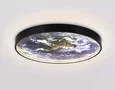 Светильник светодиодный настенно-потолочный FW11133 BK черный 25W LED 3000-6400K D400*38