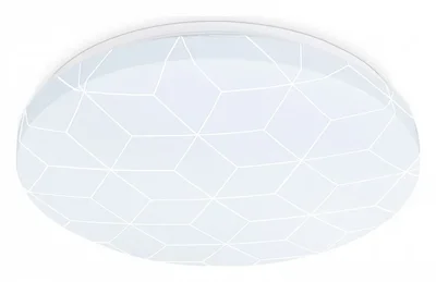 Потолочный светодиодный светильник FZ1035 WH белый 21W 6400K D320*55 (Без ПДУ)