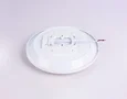 Потолочный светодиодный светильник FZ1230 WH белый IP44 22W 6400К D260*55 (Без ПДУ)