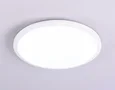 Потолочный светодиодный светильник FZ1231 WH белый IP44 42W 6400К D370*55 (Без ПДУ)