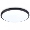 Потолочный светодиодный светильник FZ1233 BK черный IP44 22W 6400К D260*55 (Без ПДУ)