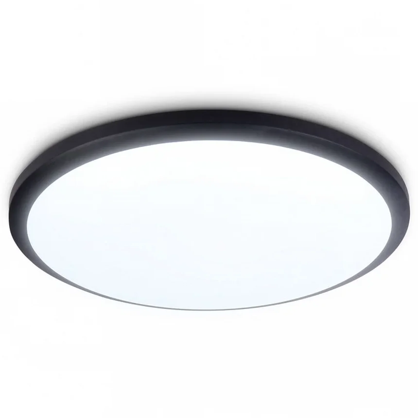 Потолочный светодиодный светильник FZ1233 BK черный IP44 22W 6400К D260*55 (Без ПДУ)