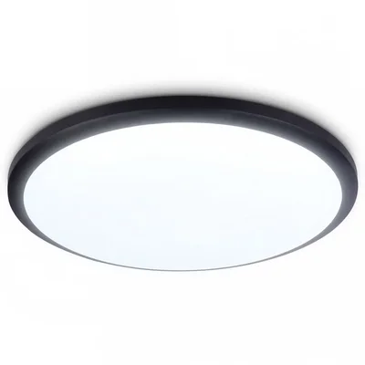 Потолочный светодиодный светильник FZ1233 BK черный IP44 22W 6400К D260*55 (Без ПДУ)