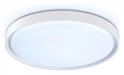 Потолочный светодиодный светильник с высокой степенью защиты IP54 FZ1246 WH белый IP54 12W 5000K D240*60 (Без ПДУ)