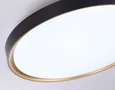 Потолочный светодиодный светильник с высокой степенью защиты IP54 FZ1249 BK/GD черный/золото IP54 45W 5000K D480*60 (Без ПДУ)