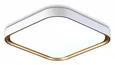 Потолочный светодиодный светильник FZ1253 WH/GD белый/золото 18W 5000K 250*250*60 (Без ПДУ)