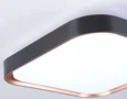 Потолочный светодиодный светильник FZ1265 BK/PGD черный/золото розовое 18W 5000K 250*250*60 (Без ПДУ)